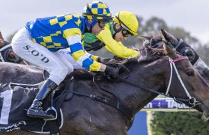 Calls for industry reform after study reveals concerns over long-term viability of training racehorses in WA