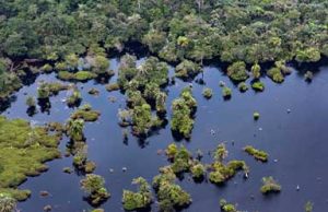Congos Oil Ministry Accused of Greenwashing