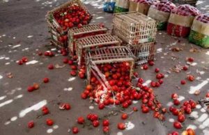 Millions Go Hungry– While Billions Worth of Food Go into Landfills