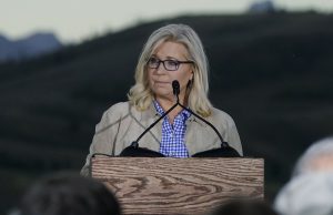 Liz Cheney in 2024? Deep skepticism emerges in key states