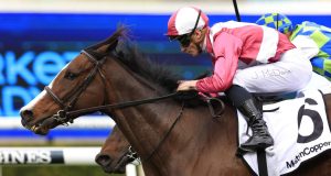WA star Showmanship wins Show County Quality at Randwick for superstar jockey James McDonald