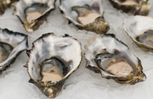 2 Florida deaths found to be connected to raw oysters