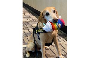 Meet the winner of TSA’s ‘Cutest Canine’ contest