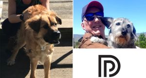 NYC group forming Guardian Angels-style patrol to protect pets after Prospect Park attack