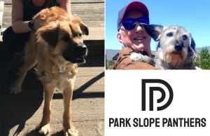 NYC group forming Guardian Angels-style patrol to protect pets after Prospect Park attack