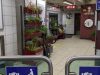 Kentish Town tube station’s “secret” garden