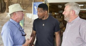 2022 Georgia Elections: Republican Herschel Walker Has Plenty To Say About How His Incumbent Democratic Rival, US Sen. Raphael Warnock, Does His Job In Washington DC, But Walker Is Considerably Less Revealing About What HE WOULD DO As A US Senator
