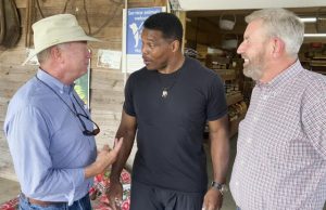 2022 Georgia Elections: Republican Herschel Walker Has Plenty To Say About How His Incumbent Democratic Rival, US Sen. Raphael Warnock, Does His Job In Washington DC, But Walker Is Considerably Less Revealing About What HE WOULD DO As A US Senator