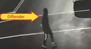 Video: Gunman Stalks Girl Before Killing Her as She Walked Dog With Friend