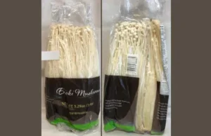Enoki mushrooms recalled due to possible Listeria contamination