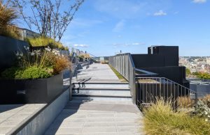A free roof garden has opened in central London
