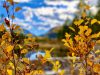 Views from the anchor desk: fall is the best season of all