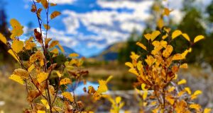 Views from the anchor desk: fall is the best season of all
