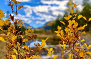 Views from the anchor desk: fall is the best season of all