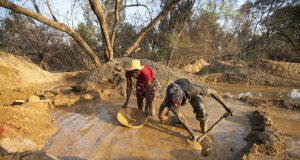 Artisanal Miners Ruining Already Diminishing Forests in Zimbabwe