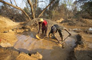 Artisanal Miners Ruining Already Diminishing Forests in Zimbabwe