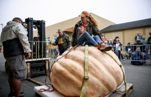 Whopping 2,560-pound pumpkin wins annual weigh-off in Half Moon Bay