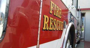 Forest fire burns through nearly 20 acres in Bleecker