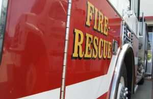 Forest fire burns through nearly 20 acres in Bleecker