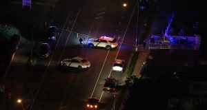 1 Dead in Fox Chase Hit-and-Run