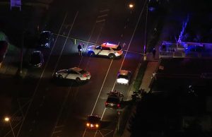 1 Dead in Fox Chase Hit-and-Run