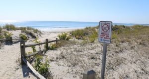 Sea Isle to Establish Formal “Dune Line”