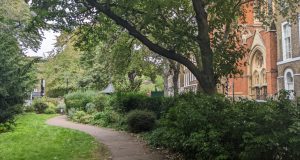 London’s Pocket Parks: Compton Terrace Gardens, N1