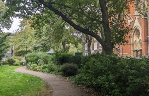 London’s Pocket Parks: Compton Terrace Gardens, N1