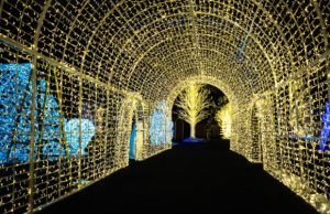 Things to do in Chicago this weekend: Thanksgiving weekend