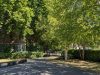 London’s Pocket Parks: Owens Field, EC1