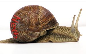 Tuesday’s Headlines: Snail’s Pace Edition