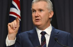 Arts Minister Tony Burke vows to end ‘culture war’ over funding once and for all