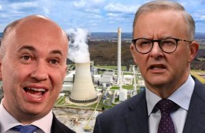 Albanese has COVID but only one real headache – and the stakes are high for your budget