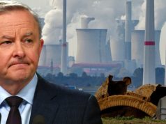 Pleasing none, Albanese presents consensus position on rising power bills; gets tentative tick