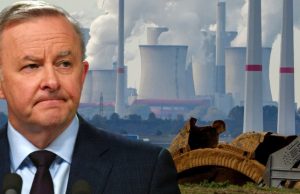 Pleasing none, Albanese presents consensus position on rising power bills; gets tentative tick