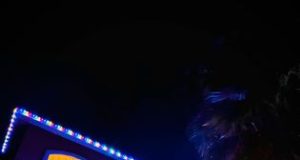 ‘Holiday Convenience’ designed to help you create the perfect holiday display