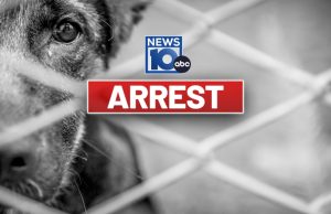 Ballston Spa duo accused of animal abuse