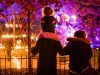 Brooklyn Botanic Gardens Lightscape Makes the Holidays Shine