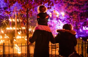 Brooklyn Botanic Gardens Lightscape Makes the Holidays Shine