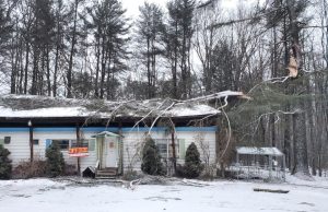 Chilly temps and strong winds devastate parts of the Capital Region