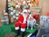 PARADES & SANTA VISITS HIGHLIGHT UPPER KEYS HOLIDAY EVENTS
