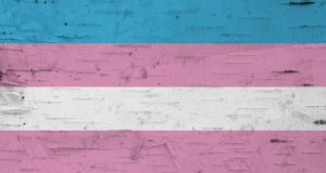 Tennessee leaders sound off on transgender legislation as session inches forward