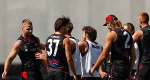 Stringer sparks scuffle with teammate as Bombers training gets heated