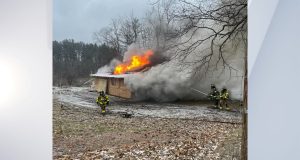 Flock of chickens rescued after Union Vale fire
