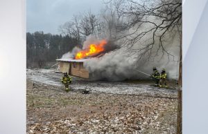 Flock of chickens rescued after Union Vale fire