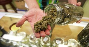 Should marijuana be legalized in Tennessee? Lawmaker files bill to add cannabis-related questions to 2024 ballot