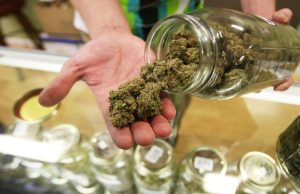 Should marijuana be legalized in Tennessee? Lawmaker files bill to add cannabis-related questions to 2024 ballot