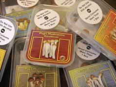 House panel rejects medical use of ‘magic mushrooms’ in Virginia