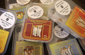 House panel rejects medical use of ‘magic mushrooms’ in Virginia