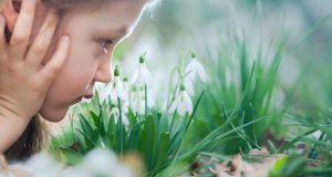 London’s Going Snowdrop Crazy This Month – Here’s Where To See Them